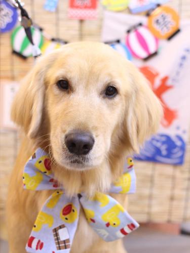 20240711アネラちゃん